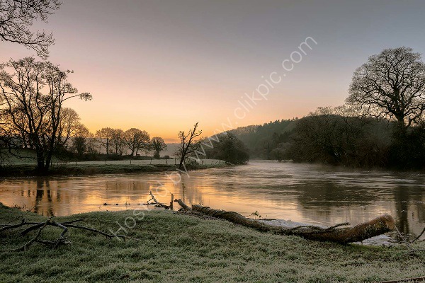 102 River Teifi Cenarth