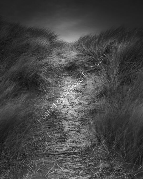 133 Poppit Dune I
