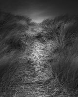 133 Poppit Dune I