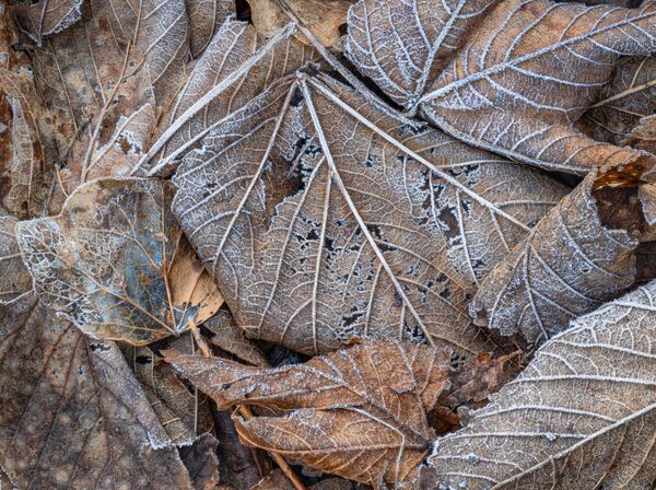 Entropy II