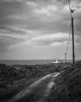 46 Strumble Head Crow