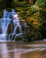 53 Ffynnone Falls