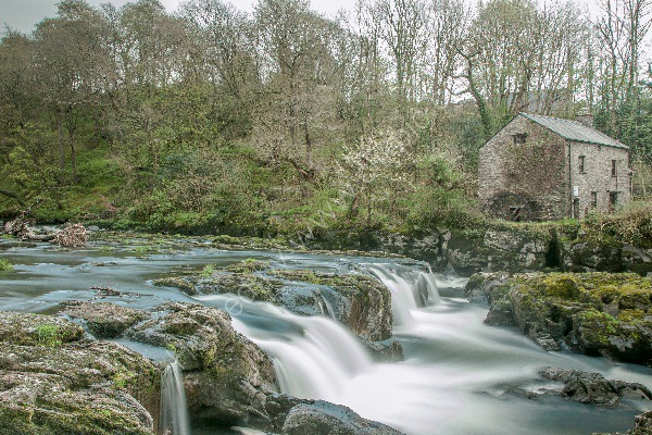 54 Cenarth Falls