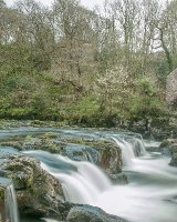 54 Cenarth Falls