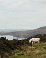 97 From St David's Head To Strumble Head
