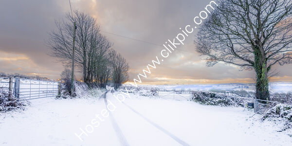 98 Snow Day Cenarth