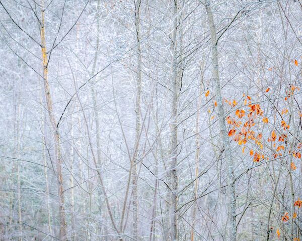 Minus Three