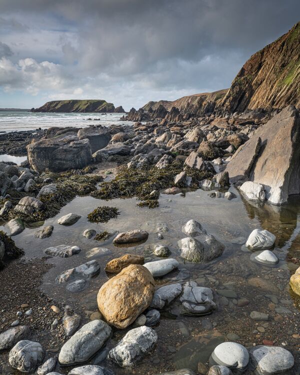 Rocks & Seaweed - Marloes Sands