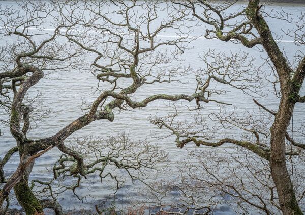 A Photograph I Almost Didn't Make!