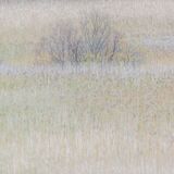 Trees and Reeds