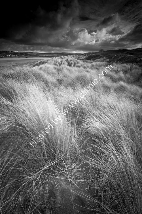 Poppit Sands Dunes