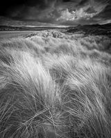 Poppit Sands Dunes