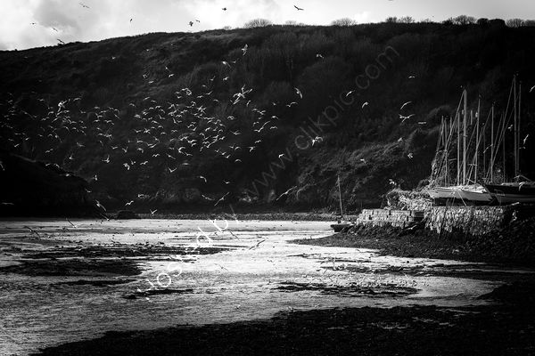 Solva
