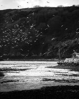 Solva