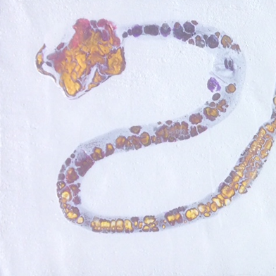 Snake. Acrylic Pour. £100