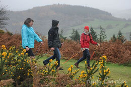 Nordic Walking on Hergest Ridge with Ali from the Walking Hub