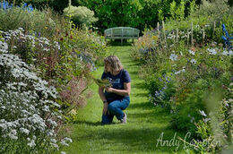 A day out at Hergest Croft Gardens.