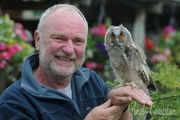Small Breeds Farm Jay and an Owl