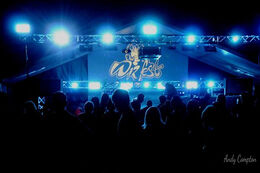 Wizfest Music festival