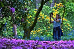 Capturing the colours in Park Wood