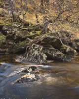 Autumn Gleann Meadail