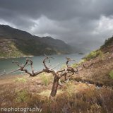 Loch Hourn veteran