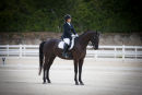 CEA Dressage 2013