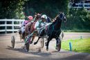 Harness Pony Racing