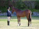 2011 Ag Show