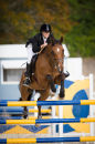 FEI Jumping 2013