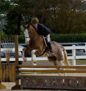 BEF Fundraiser 2010