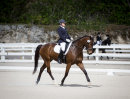 CEA Dressage 2017