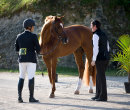 2017 FEI Jumping 3