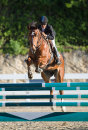 FEI Jumping 2014