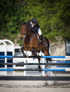 FEI Jumping 2015