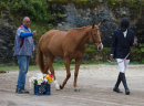 FEI Jumping 2016