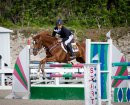 2017 FEI Jumping 2