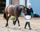 FEI Dressage 2017