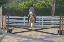 Hot Dog Jumping