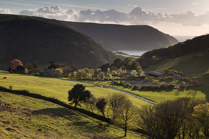 Evening Light On Lee Abbey