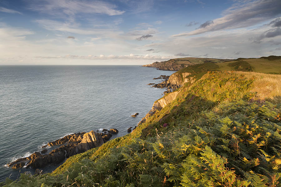 Summer Evening. Bull Point.