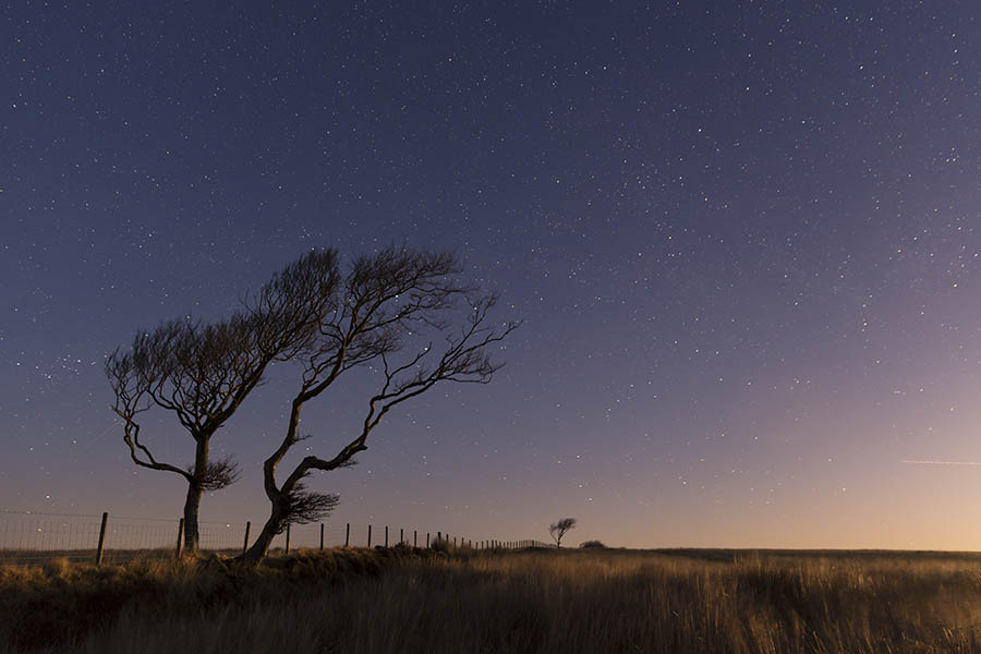 Under The Stars