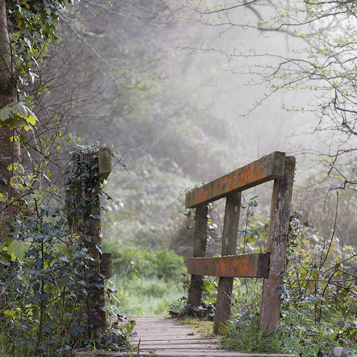 Little Bridge