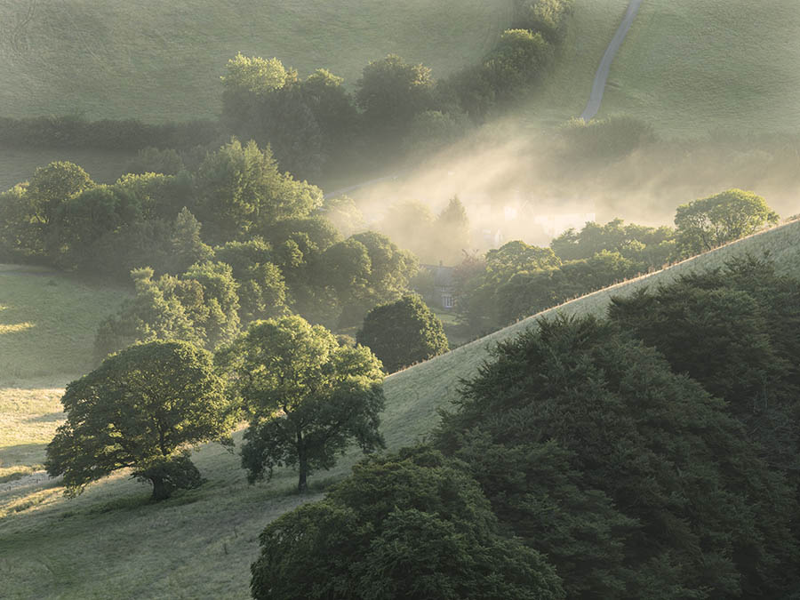 Mist In The Punchbowl