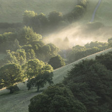 Mist In The Punchbowl