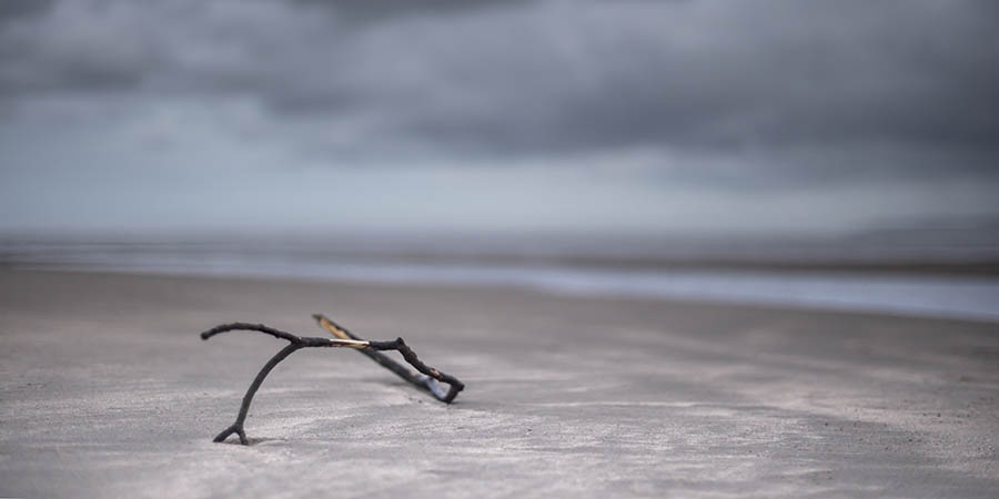 High And Dry