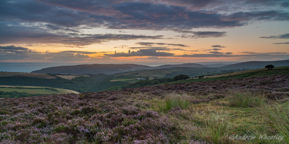 Dawn Over Hawk Combe