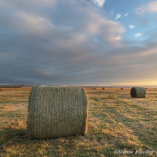 Morning Light Northam Burrows