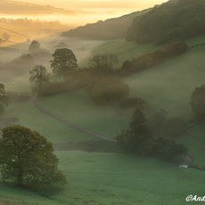 Misty Punchbowl