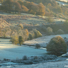 Lanacre Frost
